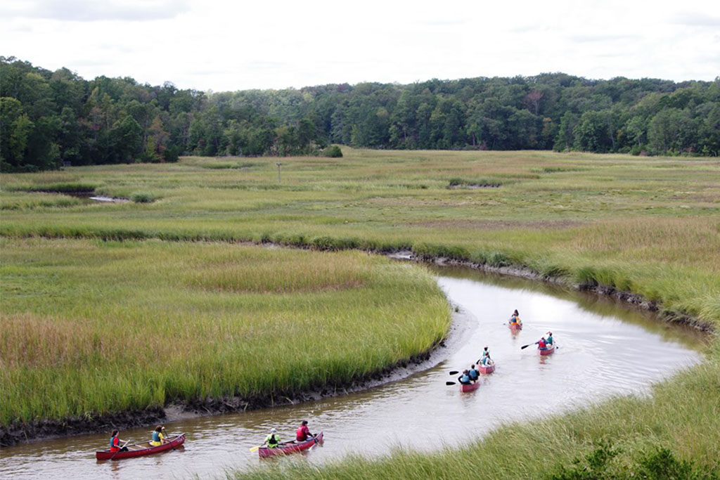 York River State Park 2