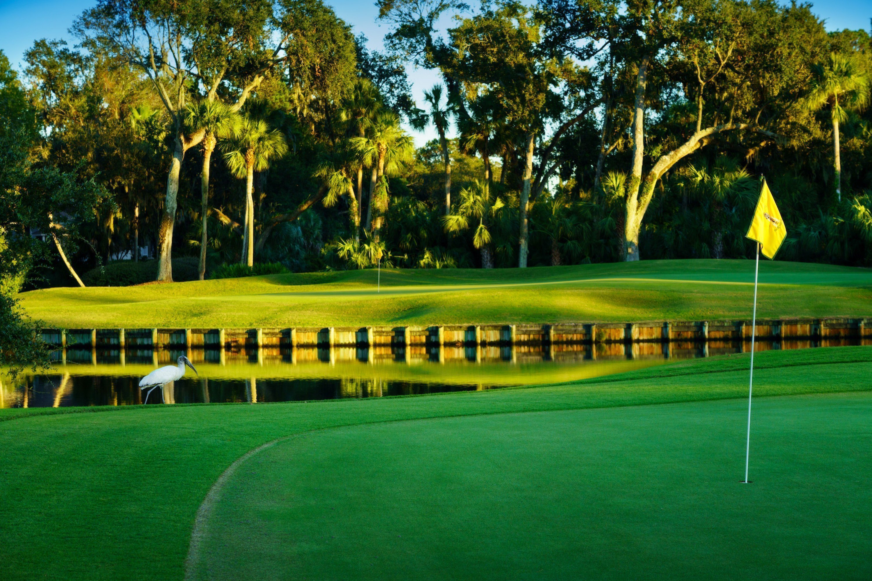 Palmetto Dunes Oceanfront Resort Golf - Arthur Hills Golf Course