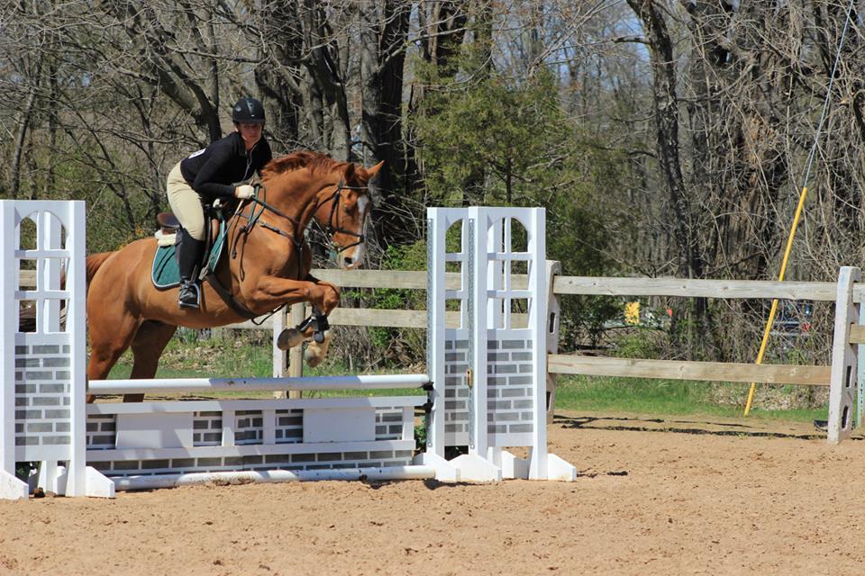 Virtue Stables9
