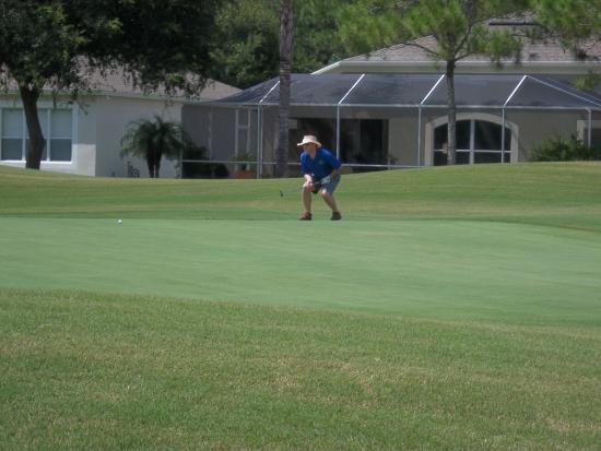 Lexington Oaks Golf Club 1