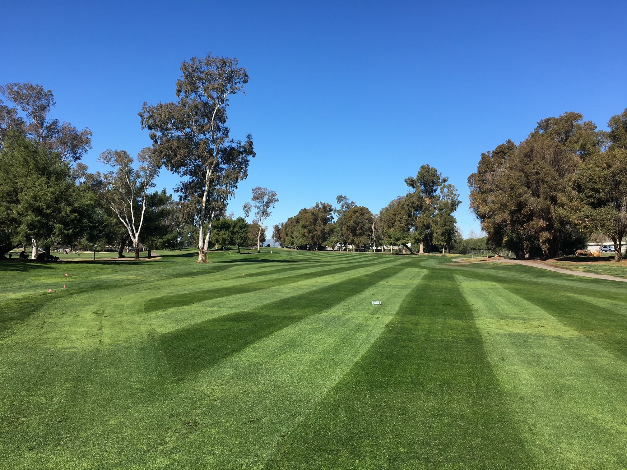 Las Positas Golf Course 4
