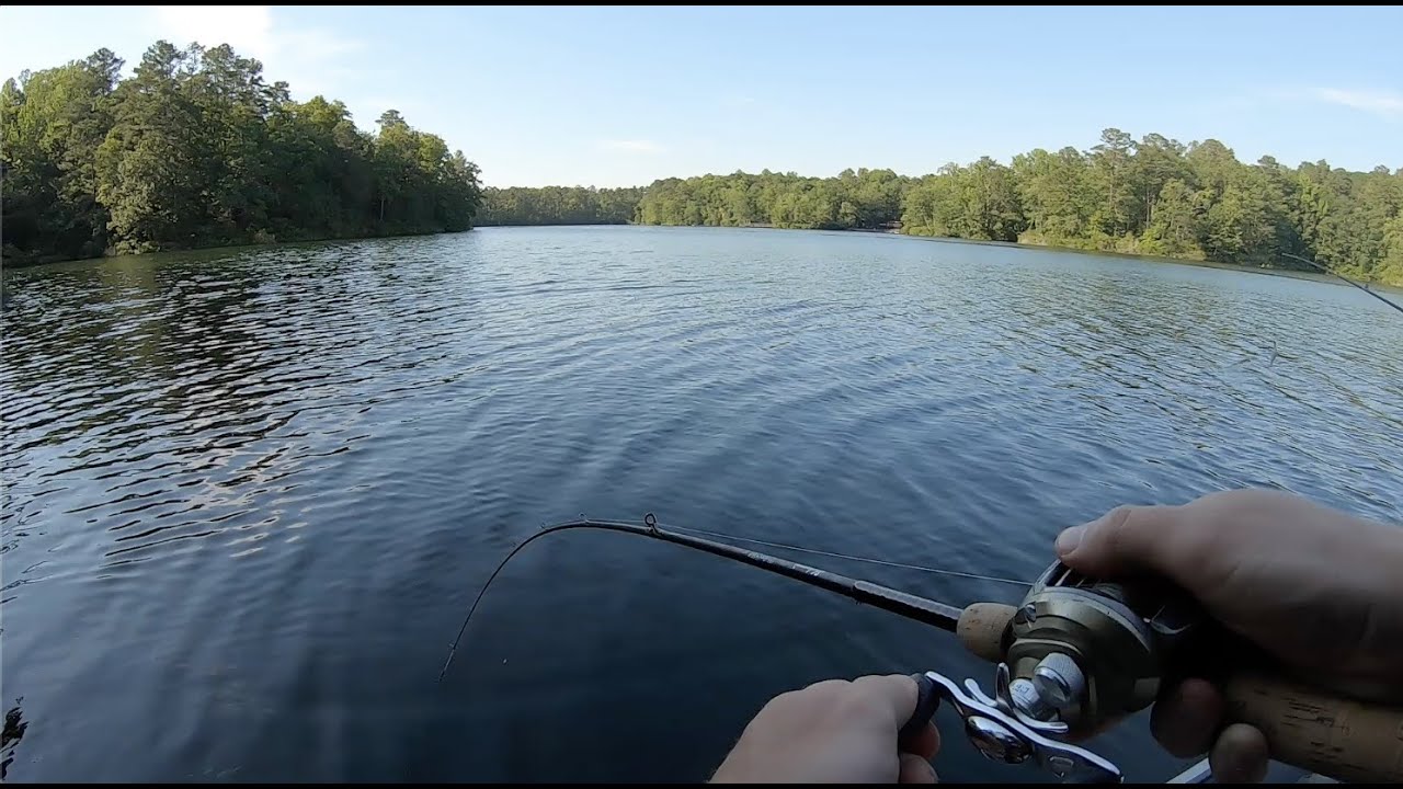 Waller Mill Park 5