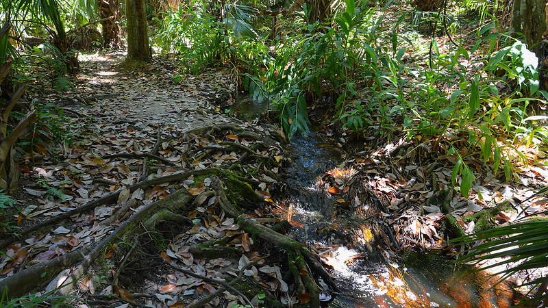Green Springs Park5