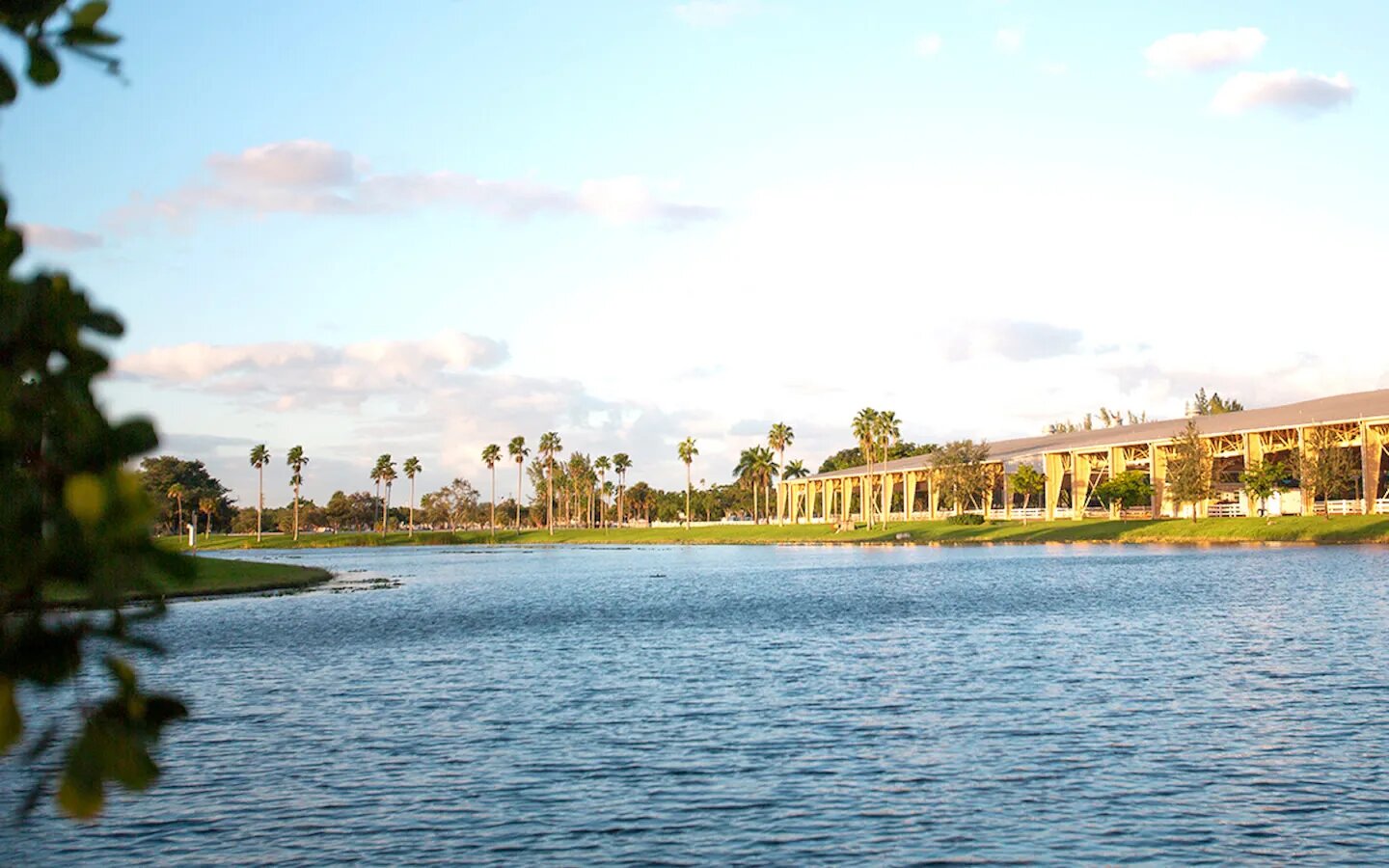 Tropical Park5