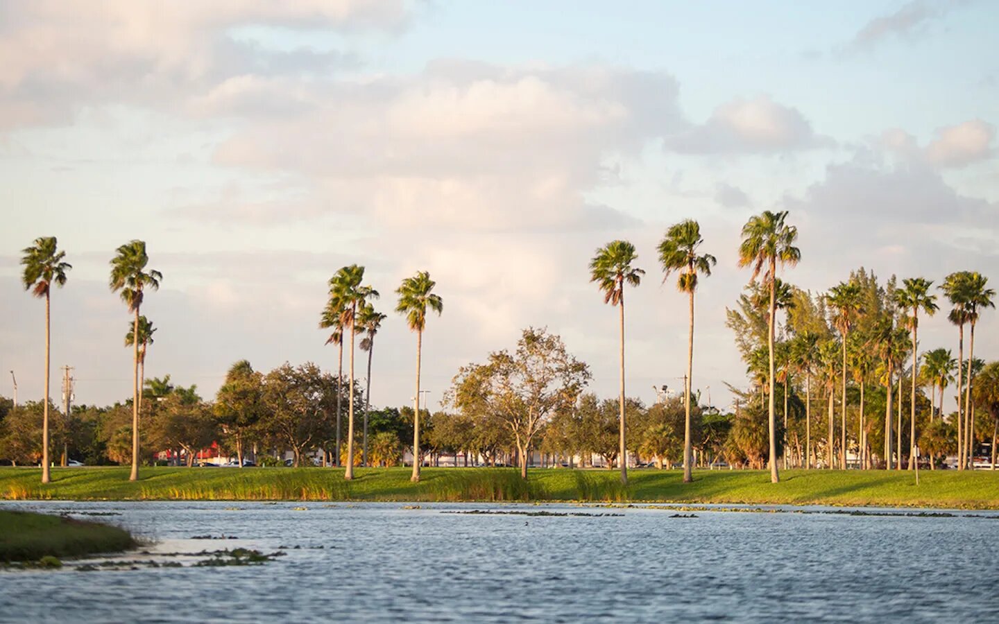 Tropical Park7