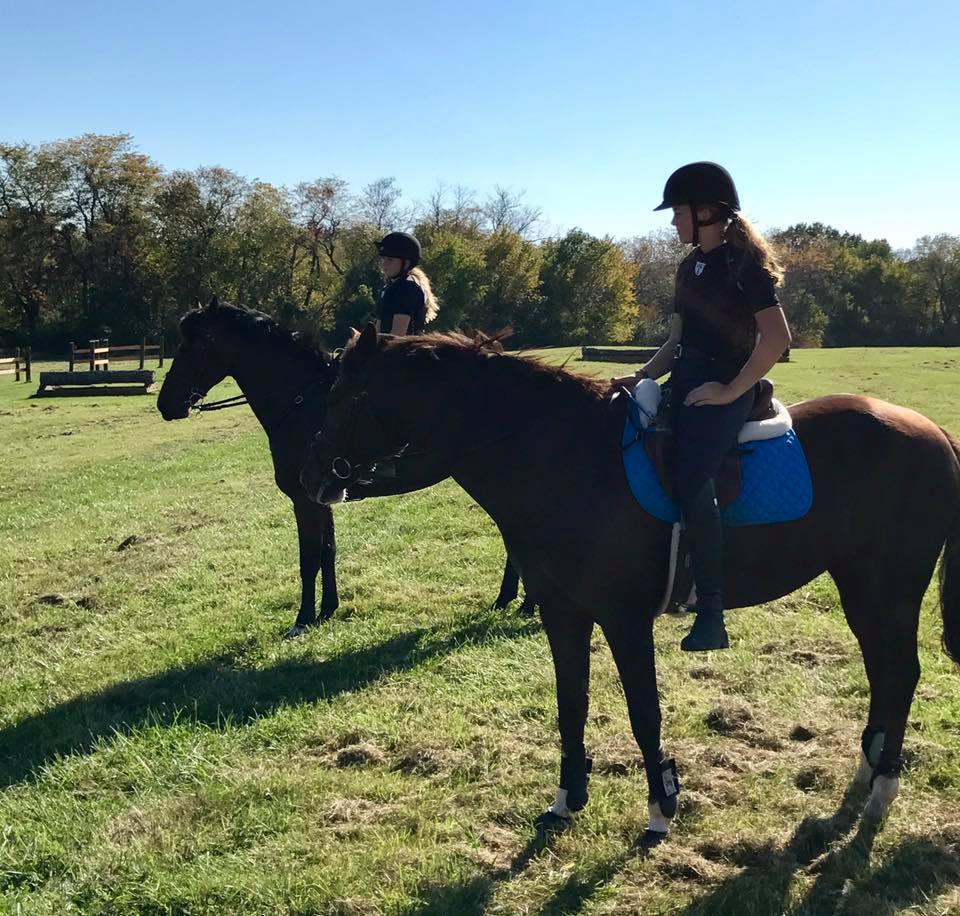 Longview Horse Park5