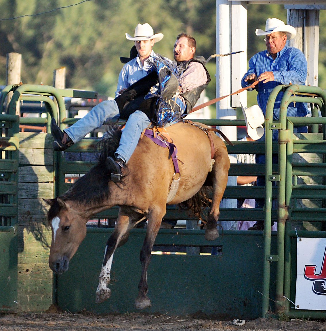 Dakota-Thurston County Fair 6