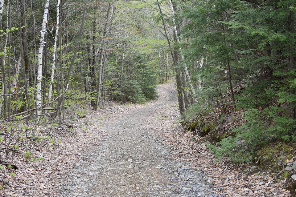 Berry Pond Preserve