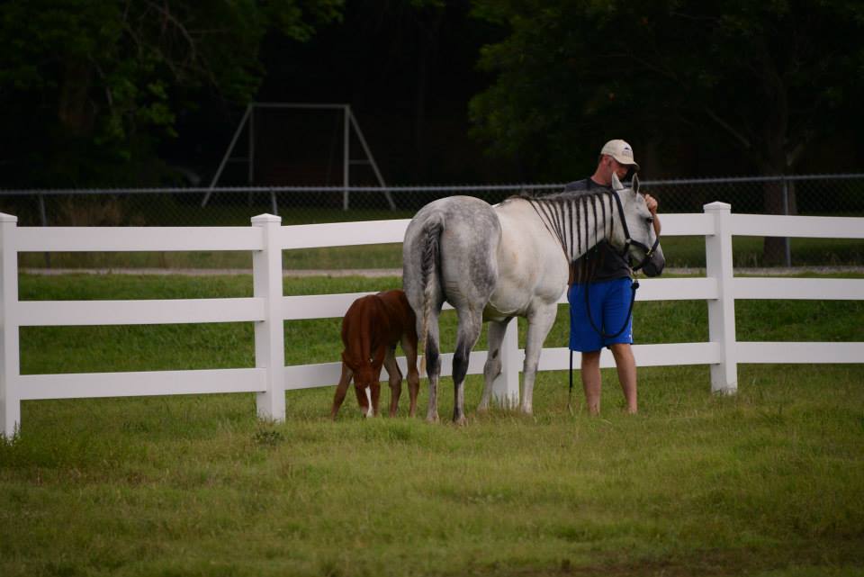 Dallas Equestrian Center6