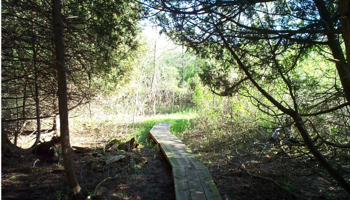 Trapp Farm Nature Preserve 1