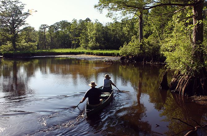 Upper County Park 6