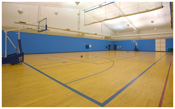 gym-2-Image-1