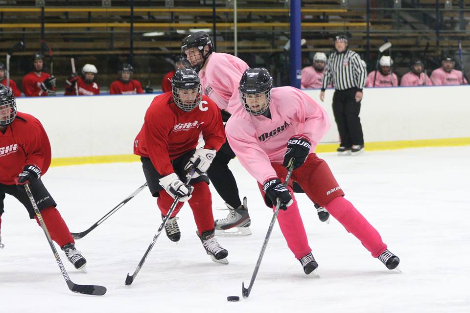 Hartmeyer Ice Arena 5