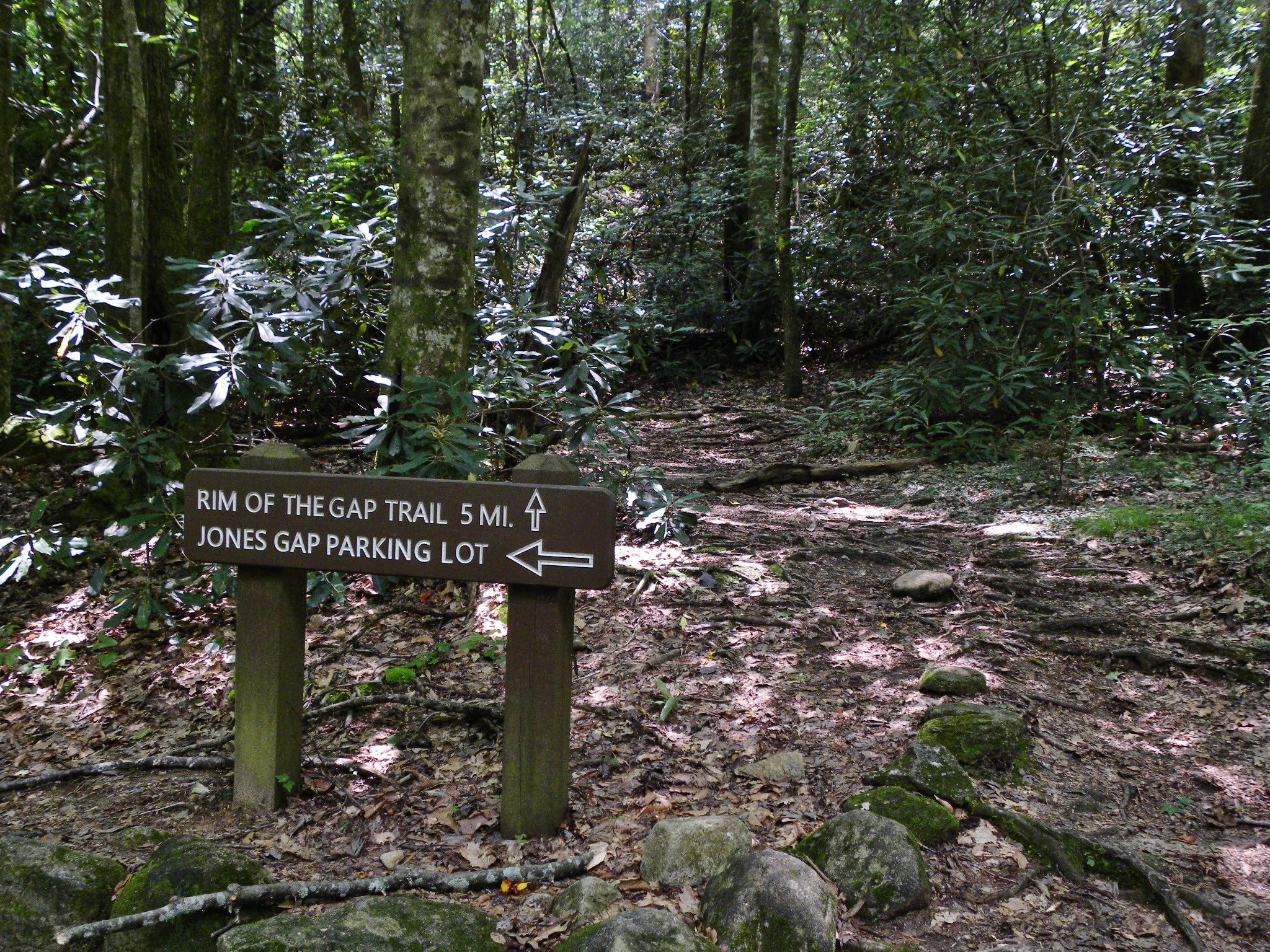 Jones Gap State Park 2