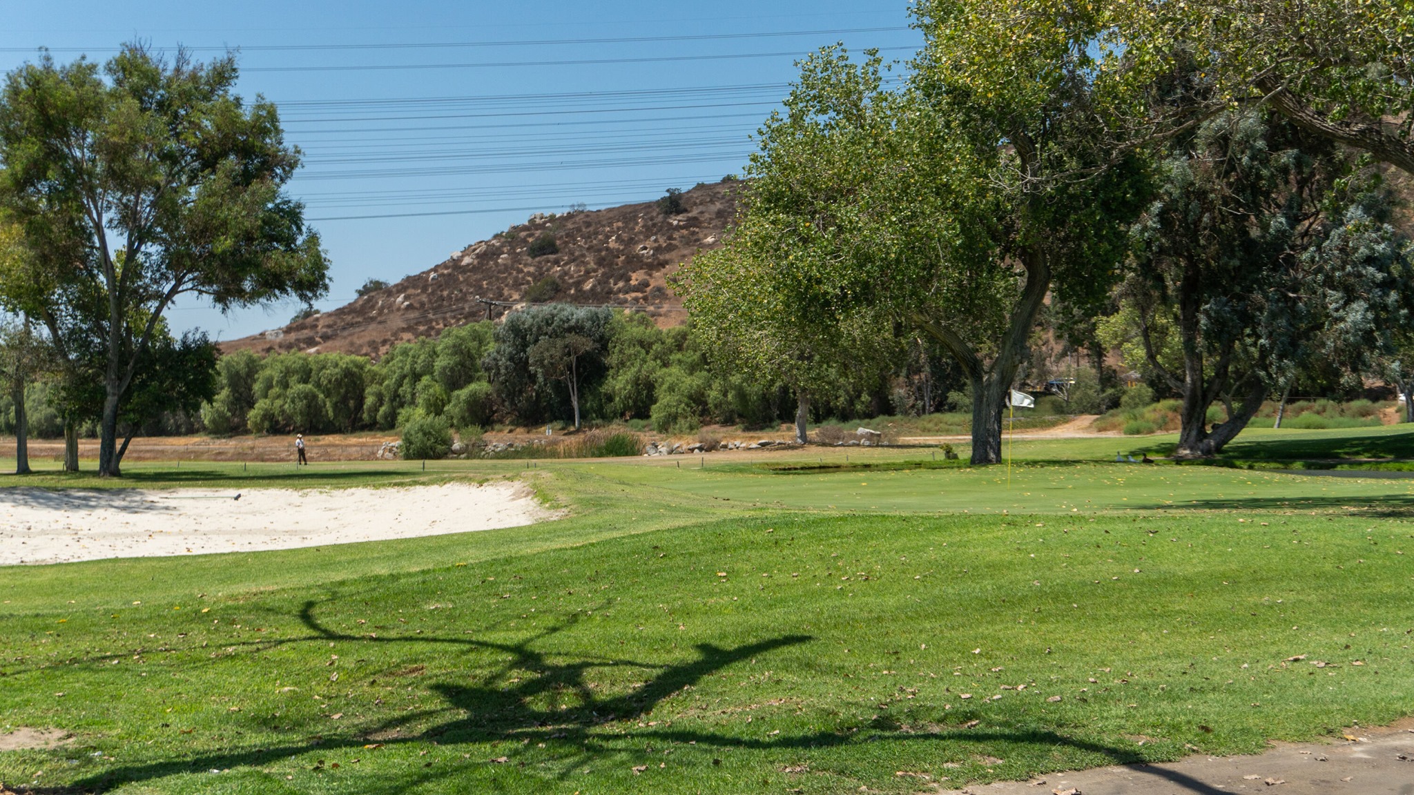 Cottonwood Golf Club6