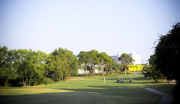 SHGC3