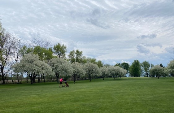 Mason City Country Club5