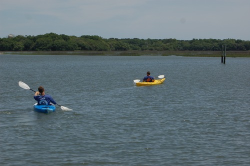Sea Monkeys Watersports2