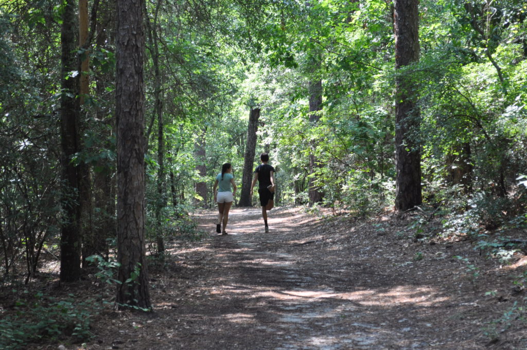 Hitchcock Woods 3