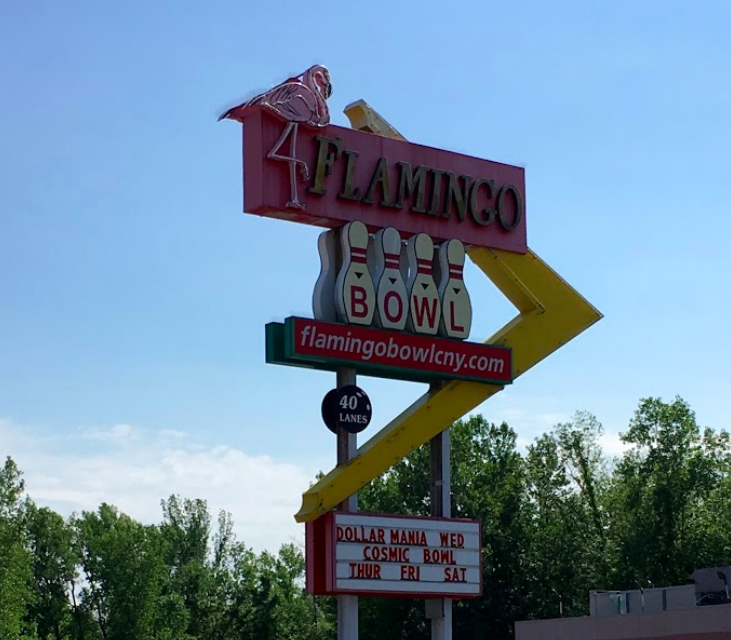 flamingo bowl 2