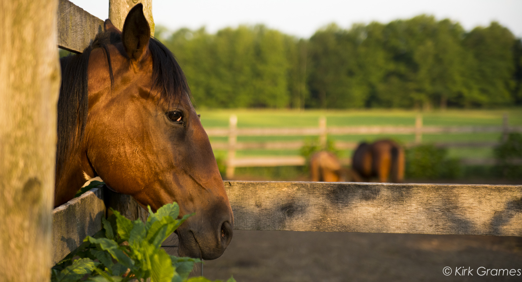 Outrider Horseback Riding5