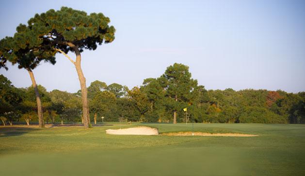 SHGC8