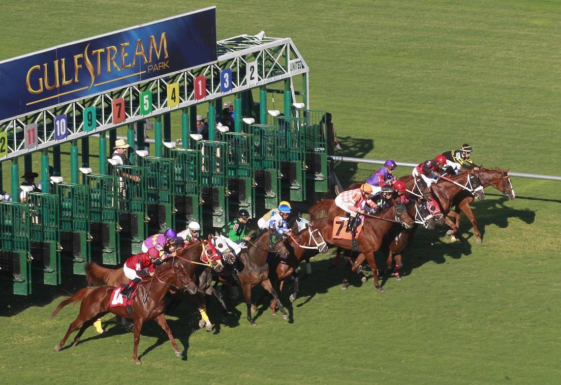 AnyConv.com__Gulstream Park Racetrack & Casino 3 (1)