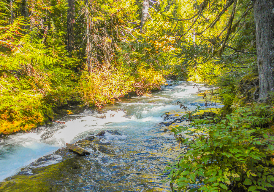 McKenzie River National Recreation Trail 1