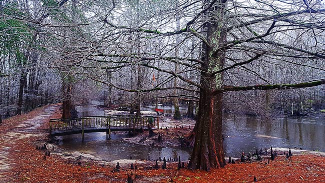 Jeffries Creek Park