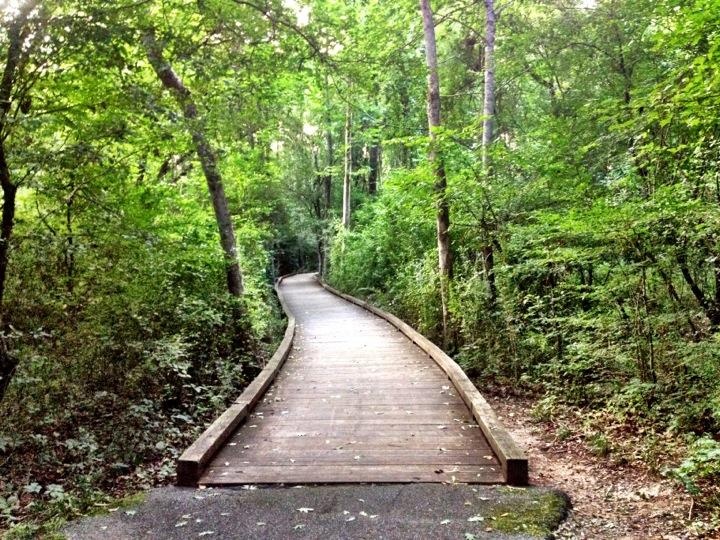 Euchee Creek Greenway 3