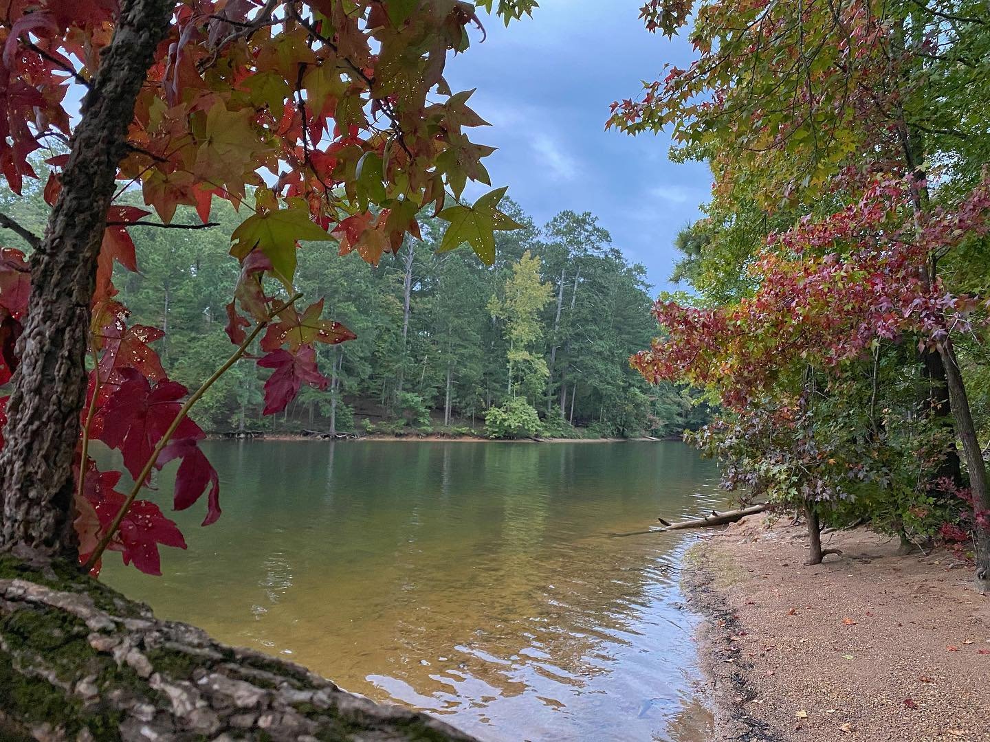 Red Top Mountain State Park7