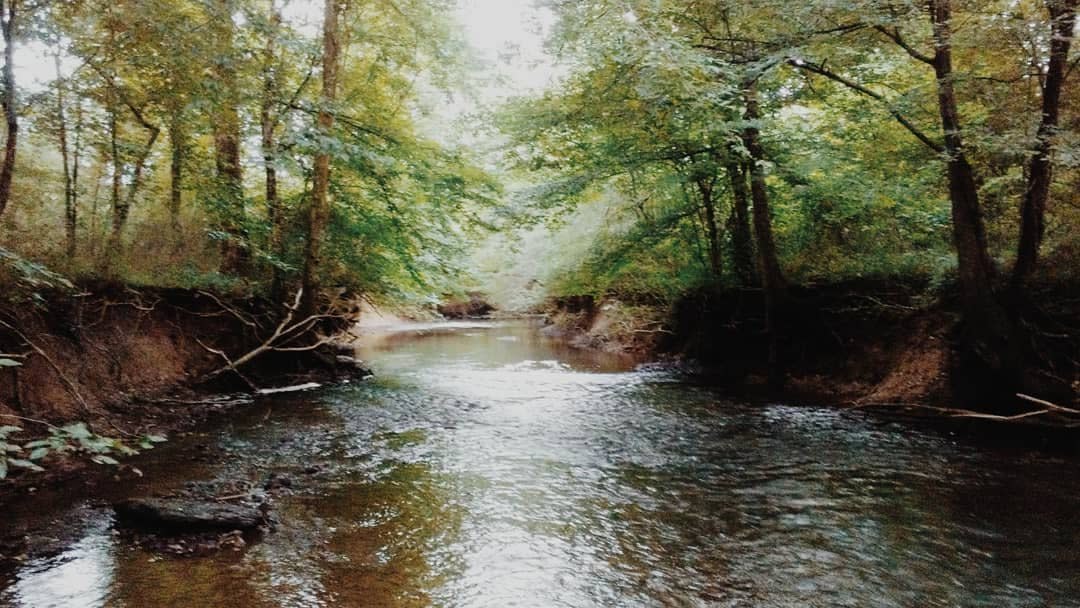 Indian Creek Greenway 2