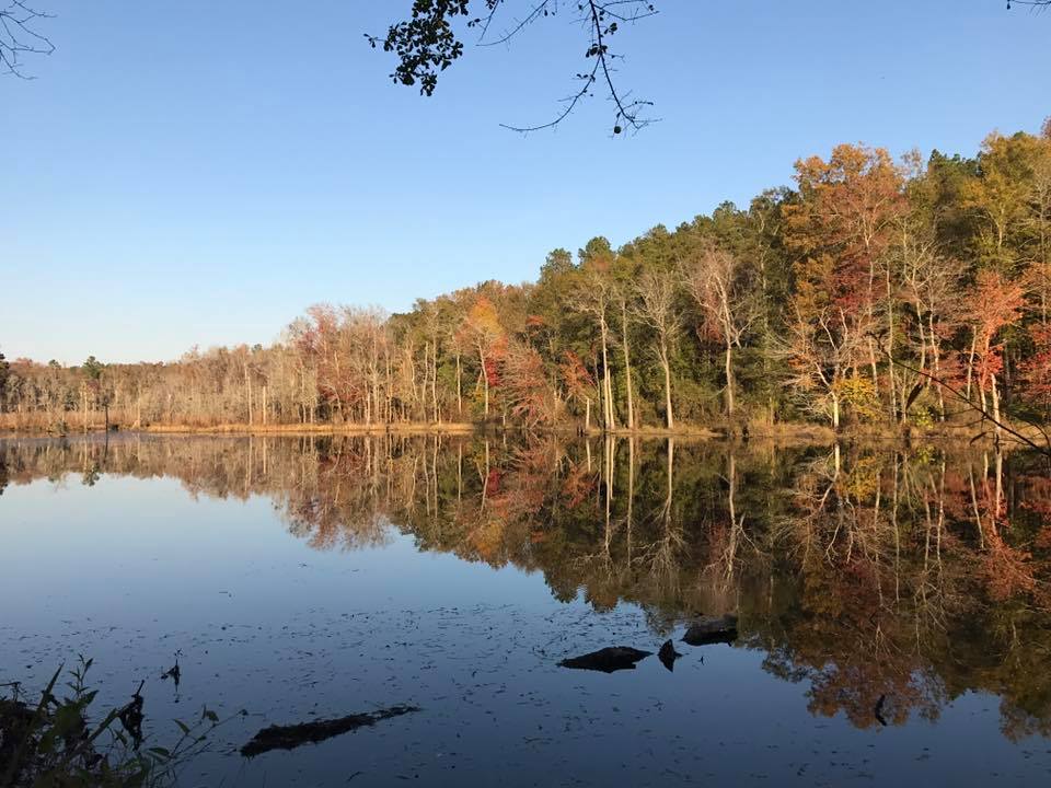 Boyd Pond Park