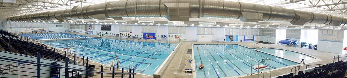 Jeff house swimming pool