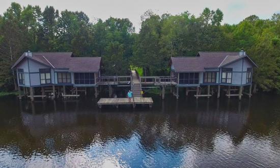 chicot lake louisiana.jpg
