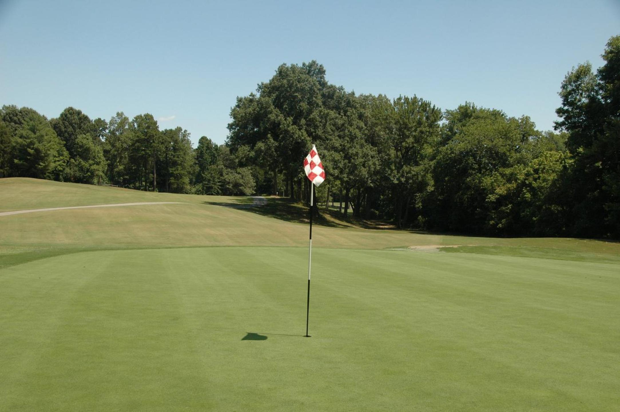 Golf 3 (1)