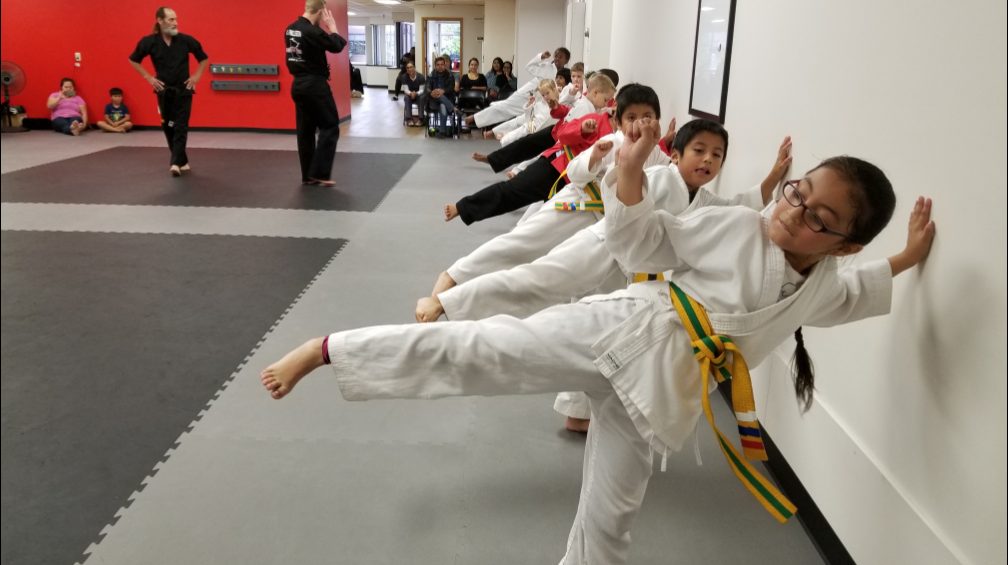 hive martial arts
