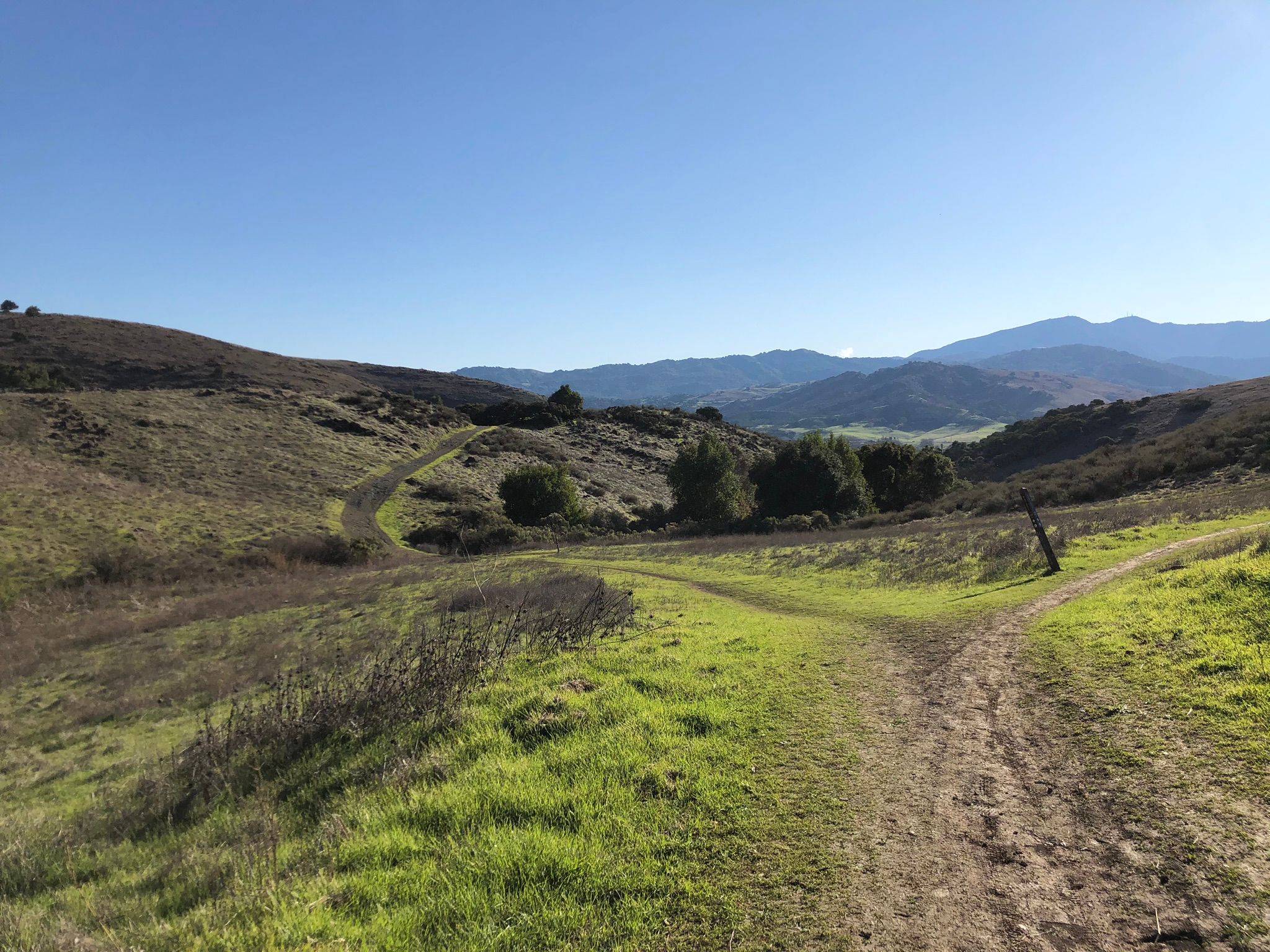 Santa Teresa County Park6