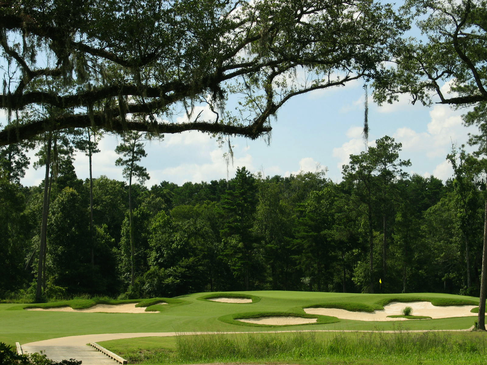 carter plantation golf course visit livingston parish la.jpg