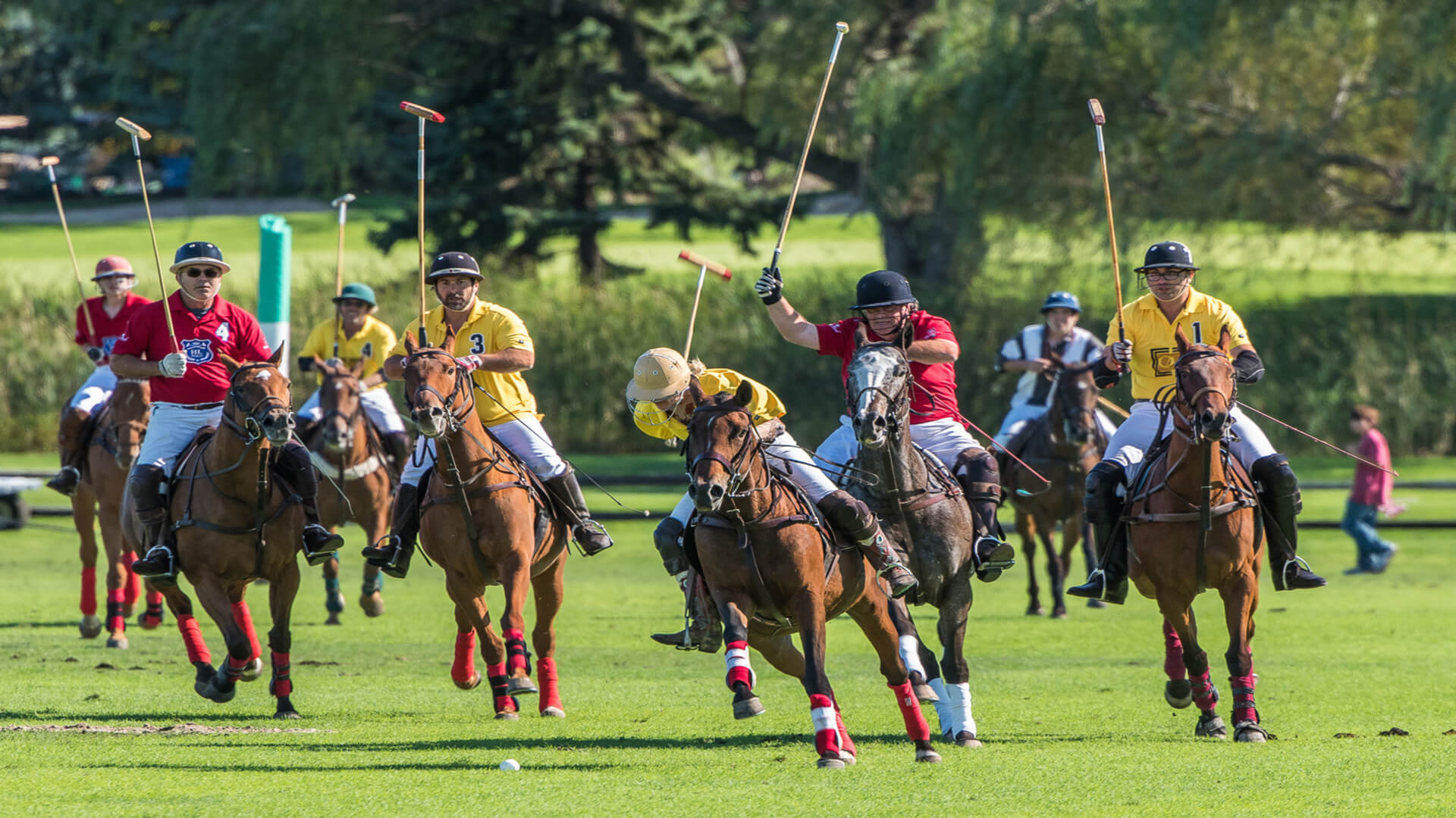 Polo 3 (1)