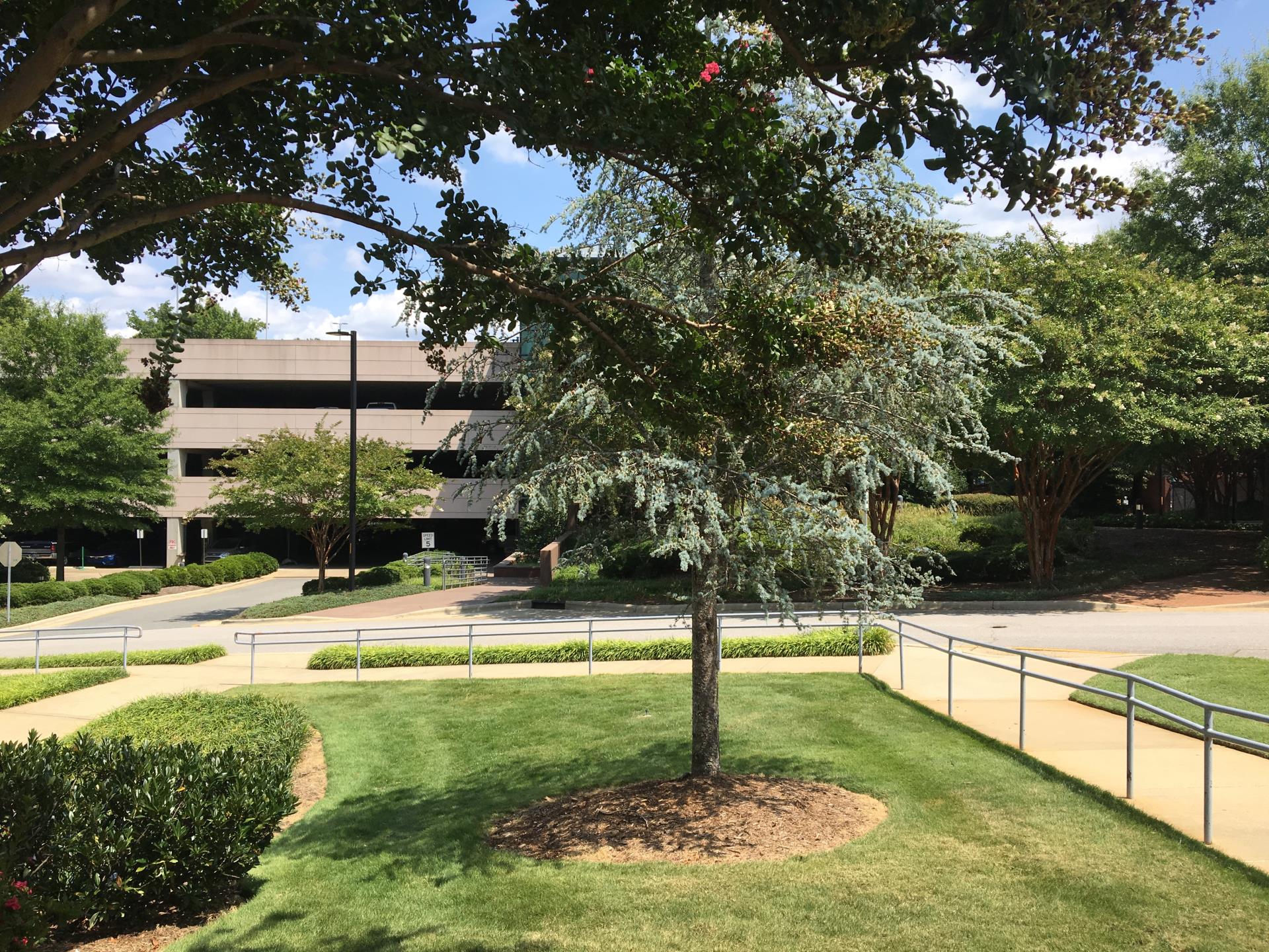 Herbert C. Young Community Center 1