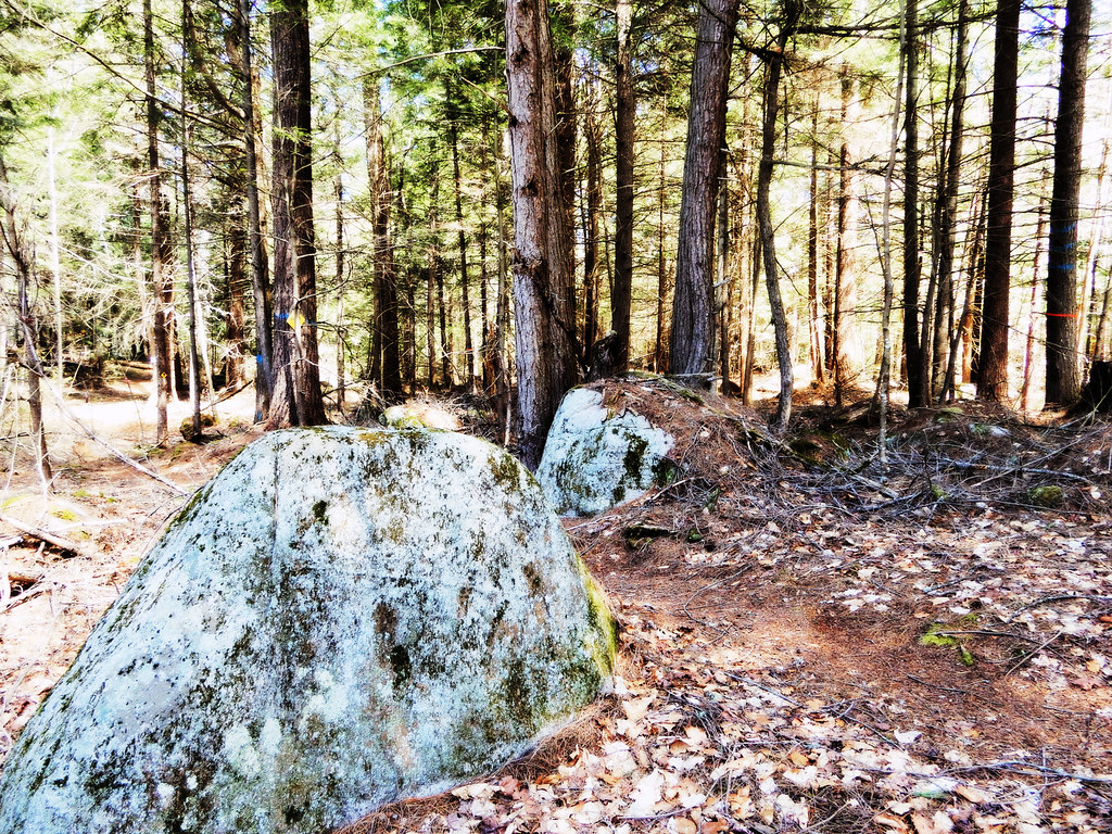 Caroline Fish Memorial Trails 4