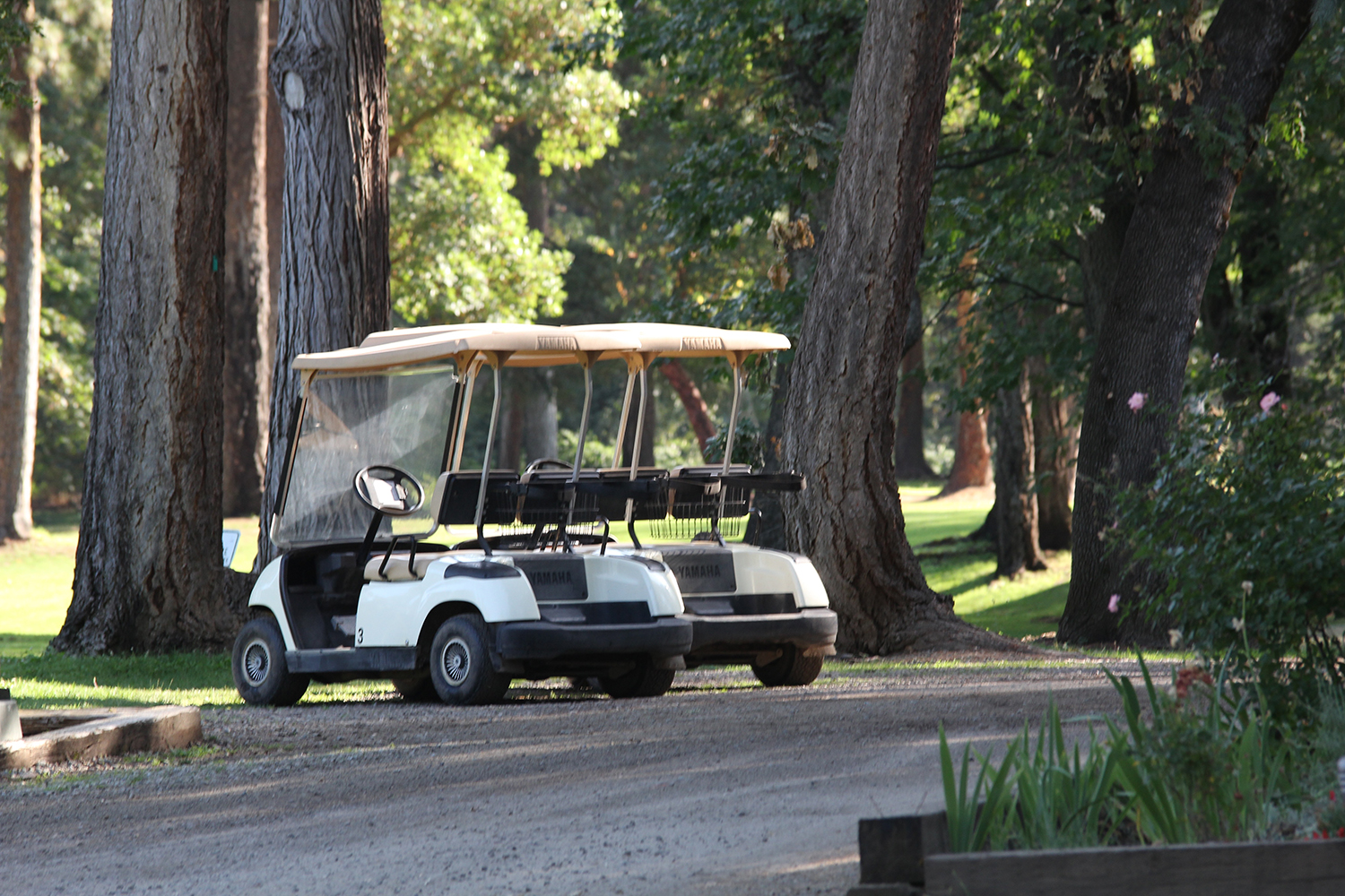 Laurel Hill Golf Course3
