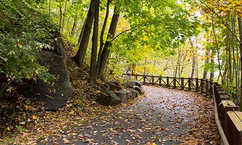 Alacopas Run State Park 1