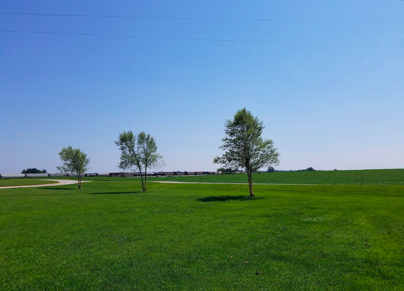 Buchanon Park 5