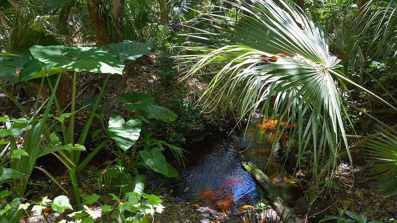Green Springs Park4