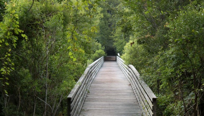Mitchelville Freedom Park 5