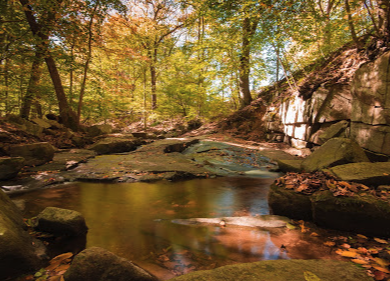 Susquehanna State Park 4
