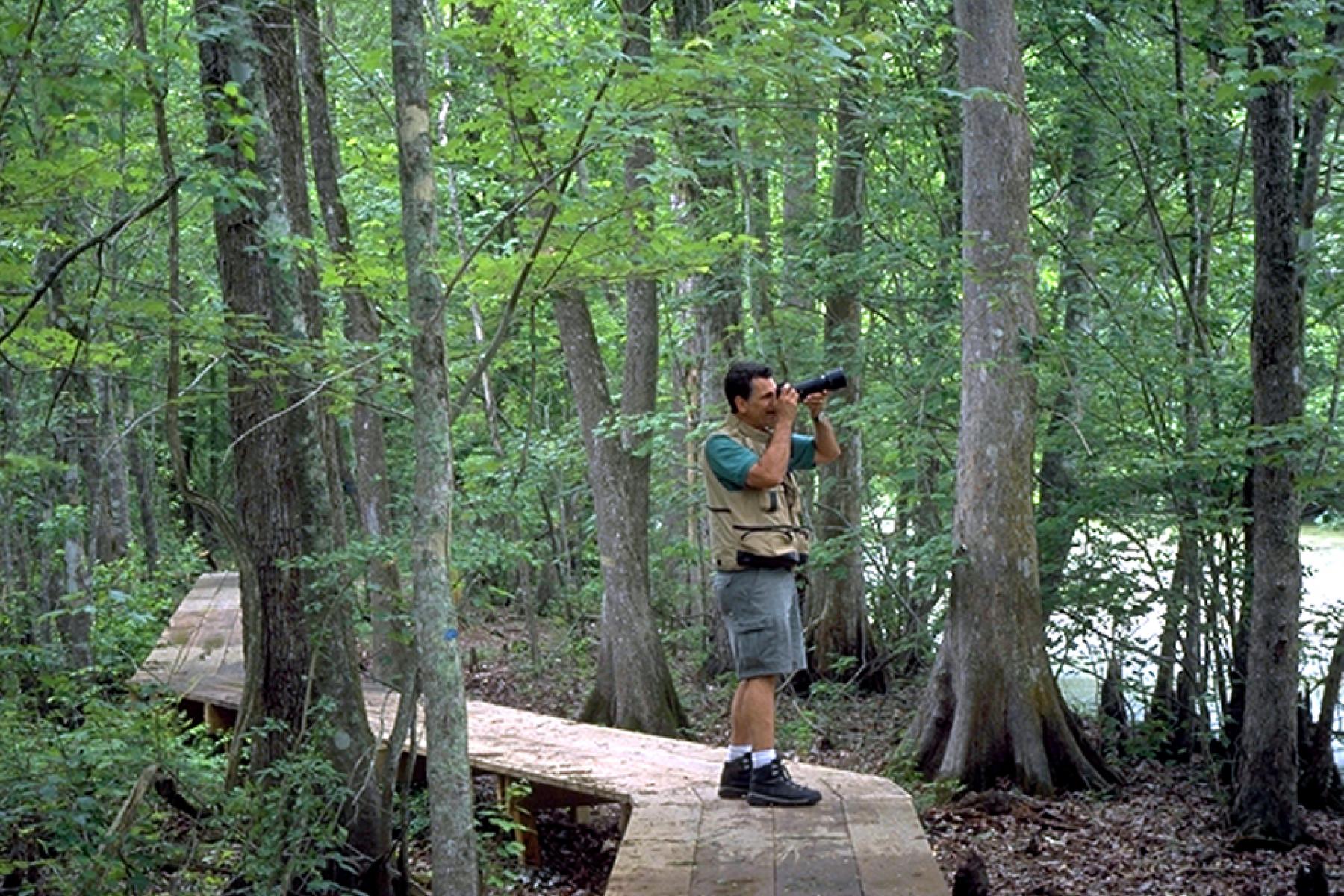 LakeFaussePointe-boardwalk_0.jpg