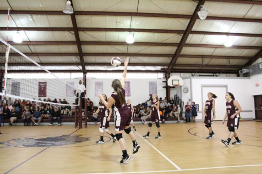 volleyball